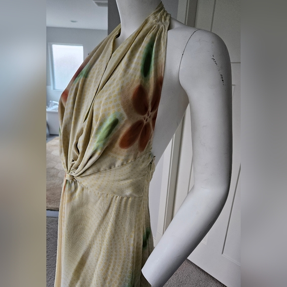 EUC Size 8 Flawless Silk Backless Gown - Picture 9 of 11